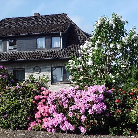 Haus Wiesel Bispingen Zewnętrze zdjęcie